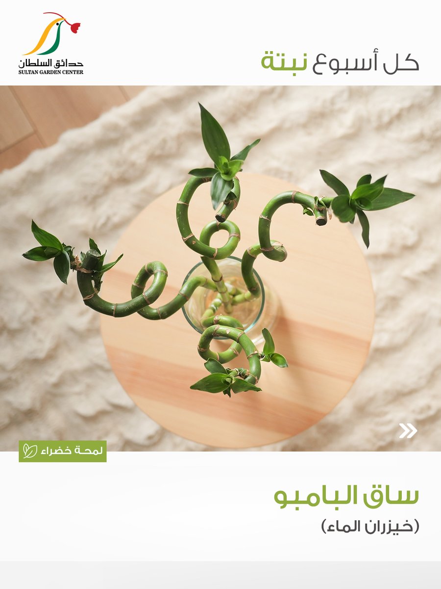 حدائق السلطان tweet media