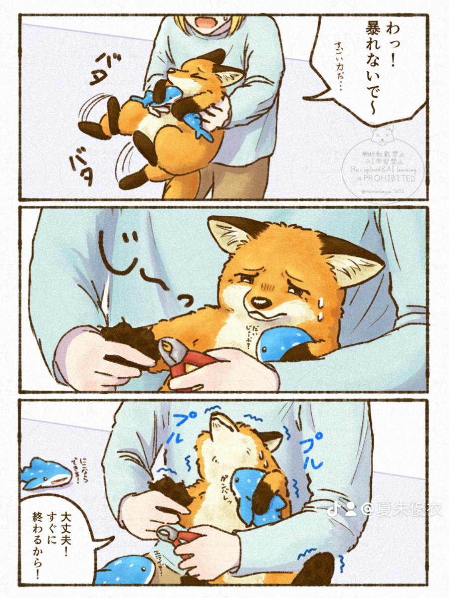 夏朱 優衣/ 書籍「きつねと一緒に暮らしたら」5月18日発売🦊 tweet media