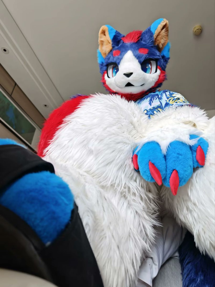 LearTetos's tweet photo. 你们开聚，我上班!

我不服!!!

踩!

踩踩!!

#FursuitFriday https://t.co/cO7kVkuwxo