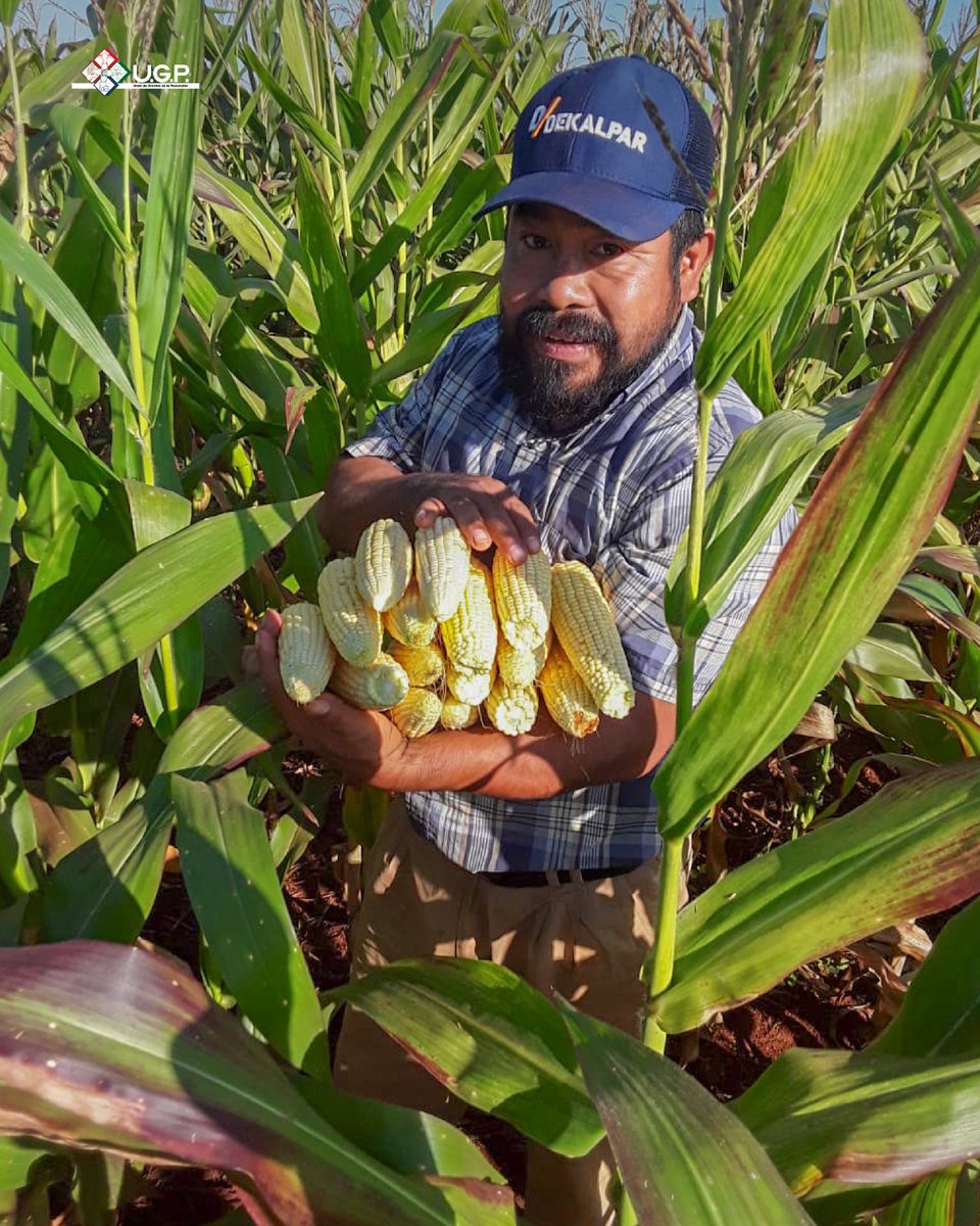 Unión de Gremios de la Producción tweet media