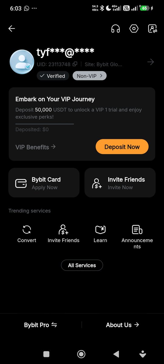 ichima_89's tweet photo. @BybitIndonesia 23113748

letss goo https://t.co/tPwT296DoB