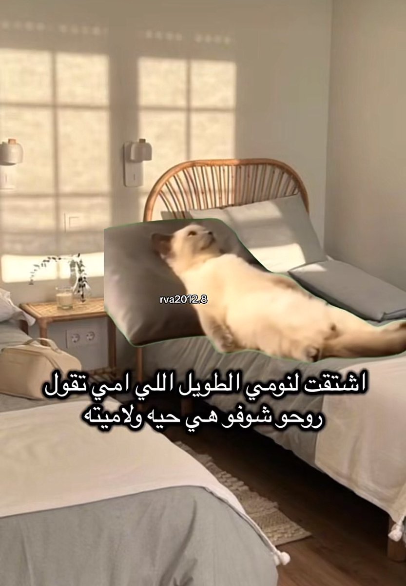 نان tweet media