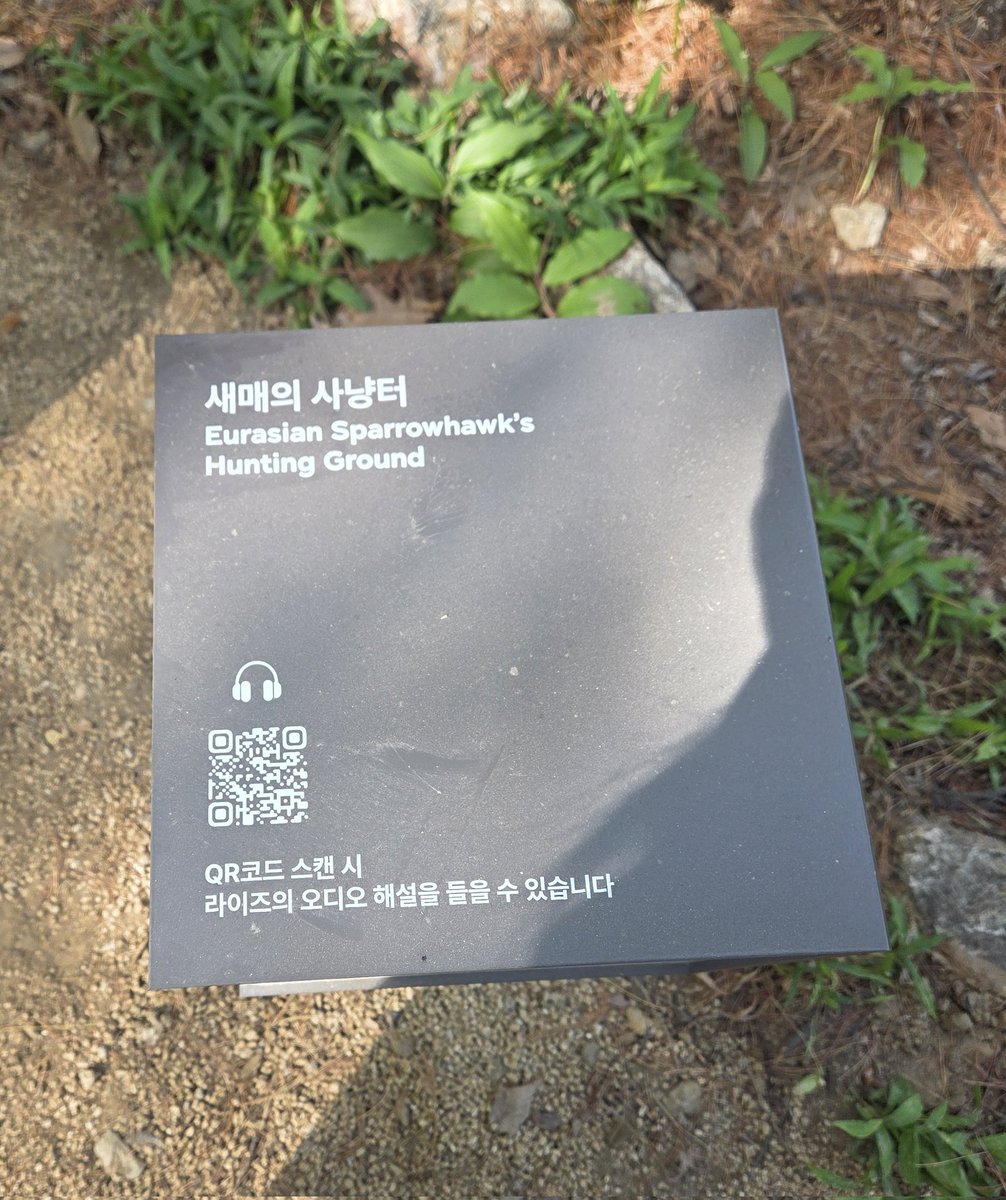 부희주 tweet media
