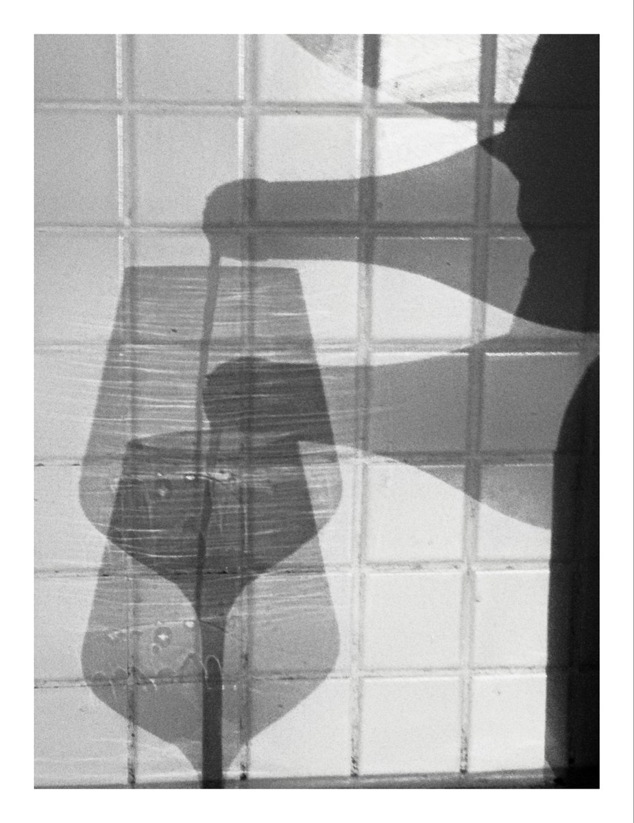 BedaBrunnerPhotography tweet media
