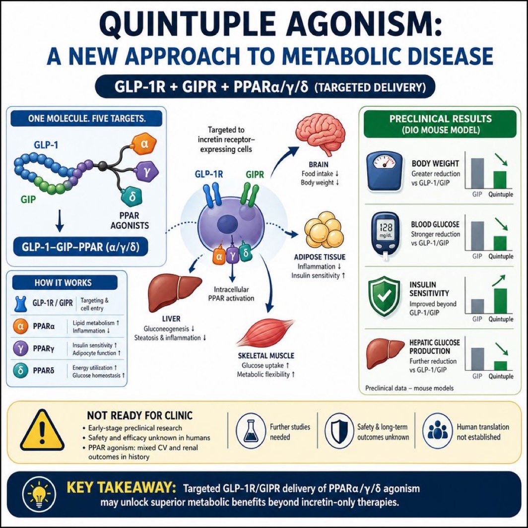 🧬 Beyond GLP-1 | The next frontier: Quintuple Agonism
One molecule. Five targets.
GLP-1R + GIPR + PPARα/γ/δ — all in one.
🧠 Brain → ↓ food intake &amp; body weight
🫀 Liver → ↓ gluconeogenesis &amp; steatosis
💪 Muscle → ↑ glucose uptake &amp; metabolic flexibility
🟡 Adipose → ↓