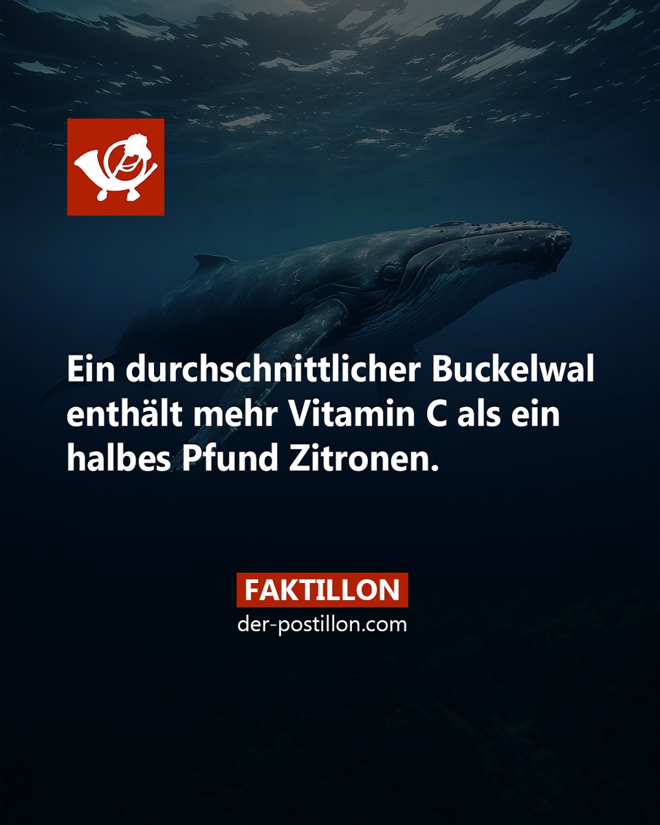 Faktillon 📯 tweet media