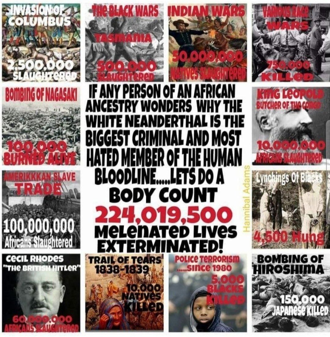 RapeBrownPeopleWithABroomstick🇫🇷🇮🇹🇻🇳🇲🇹 tweet media