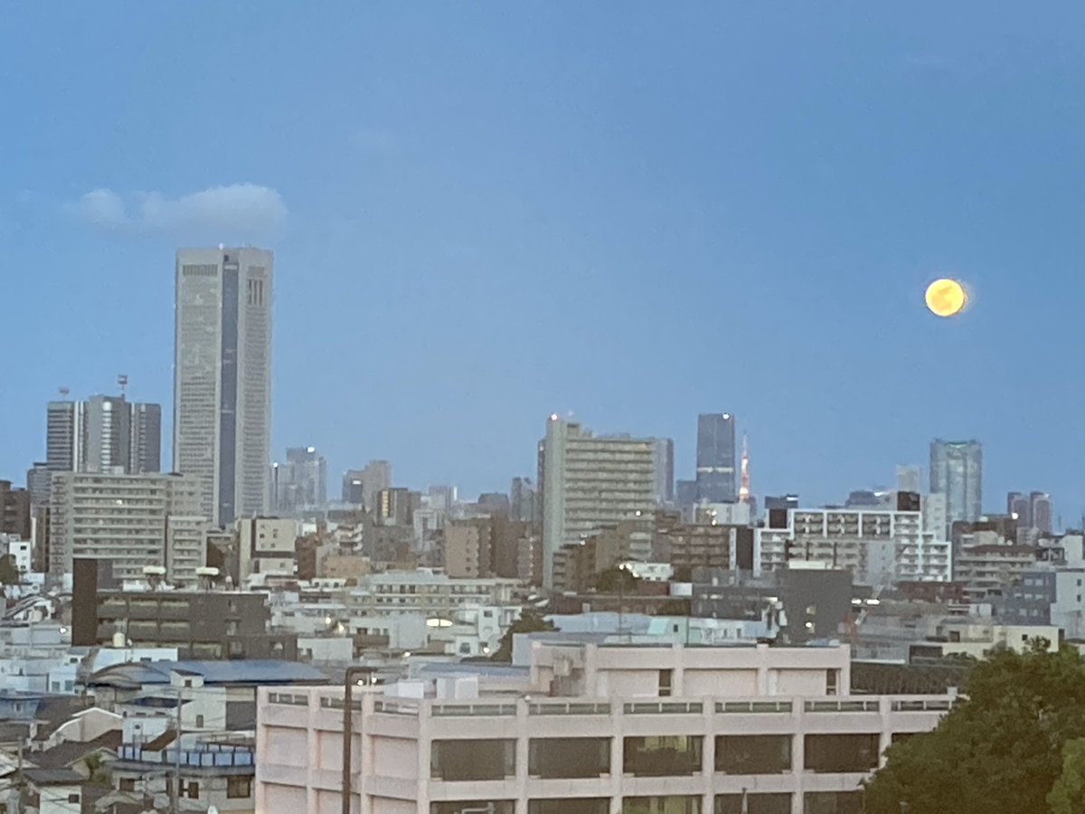 Love4Twenty's tweet photo. Nyuinn tutu
Qwerty  nyuuryoku  Kail.  Fujiura  saiteida

Boro iPhone、。、支払いおいでいない
ここに、Weおちつかなぃかねは、かねはある
クソが！いそざ！
おのiPhoneじや、ないもぇきない。。。いつまで、入院生活だ。。。
つらい https://t.co/CP5cAMH3Cm