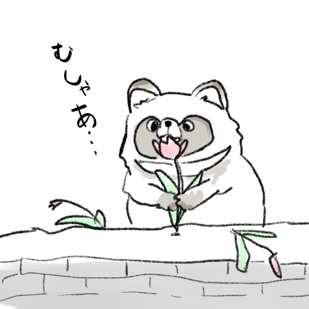 樫尾キネ tweet media