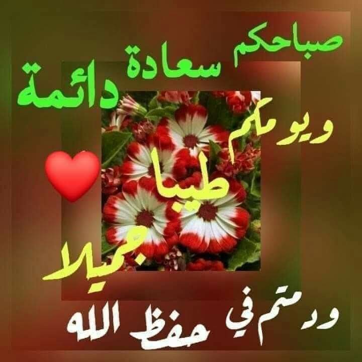 محمد عثمان البريجي tweet media