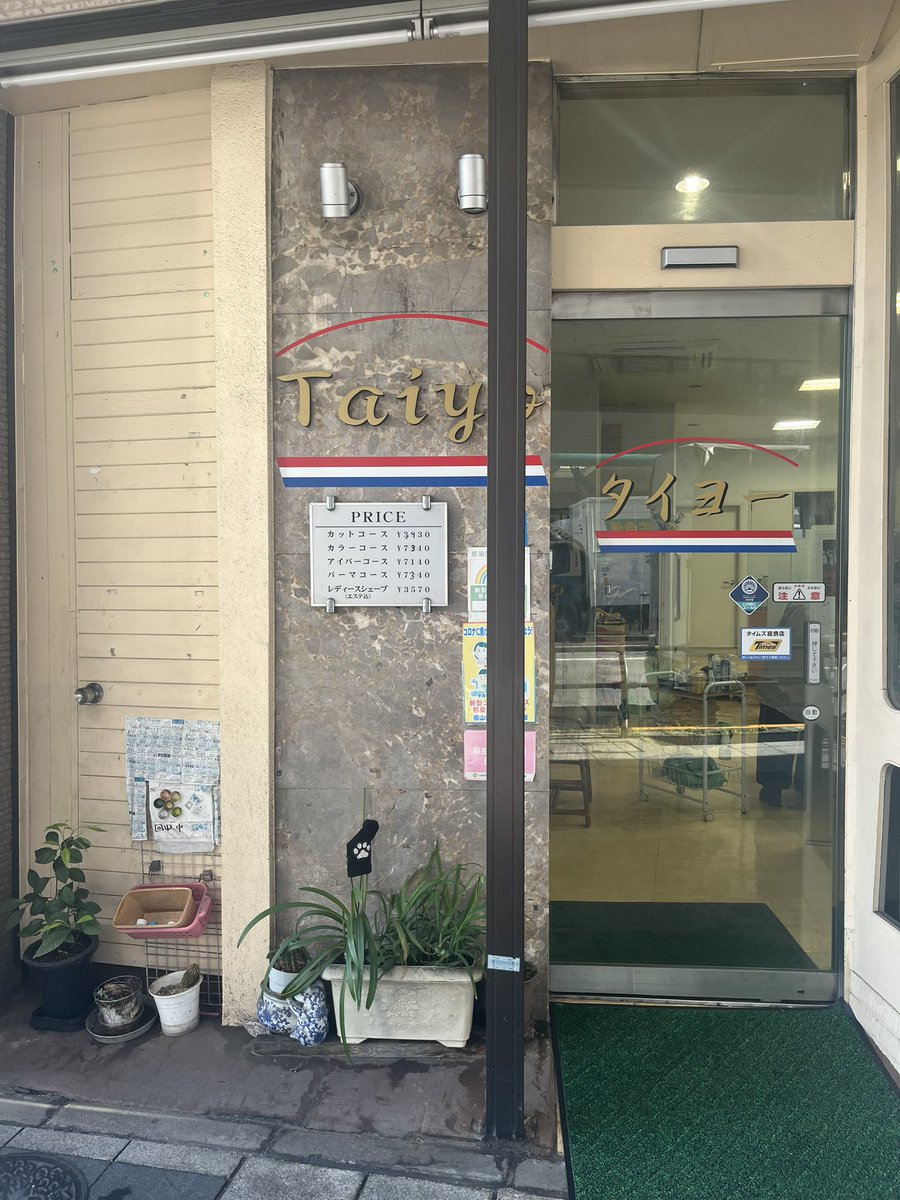 taiyo tweet media