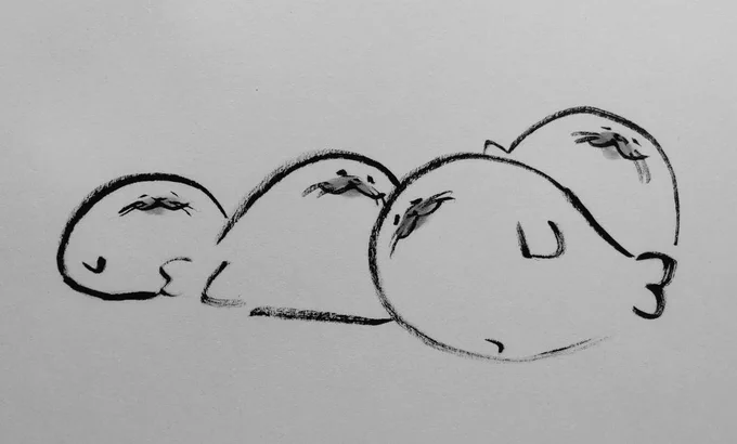 ゴールデンウィークに突入しました。とても嬉しいので、たくさんアザラシを描きました。