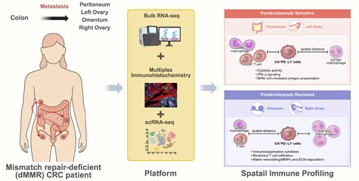Immunotherapy Advances Journal tweet media