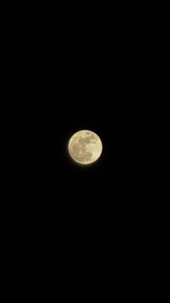 月が綺麗です🌕
#月