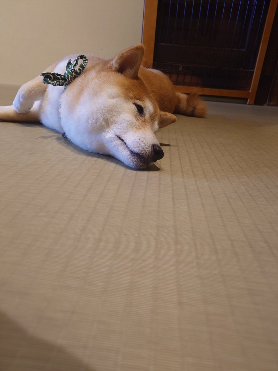 KENTA tweet media