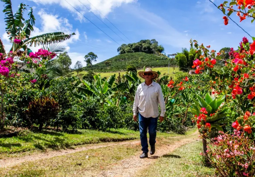 #FelizViernes para leer:
"Once campesinos del Suroeste antioqueño enfrentan cargos por secuestro, hurto y lesiones personales tras oponerse a un megaproyecto minero que divide a la región hace más de una década". 👇🏻👇🏻
m.elcolombiano.com/generacion/jer…