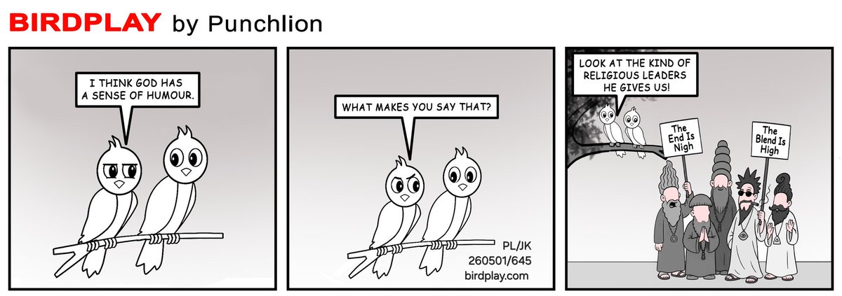 Birdplay tweet media