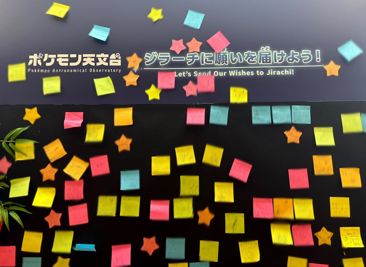 あさただ tweet media