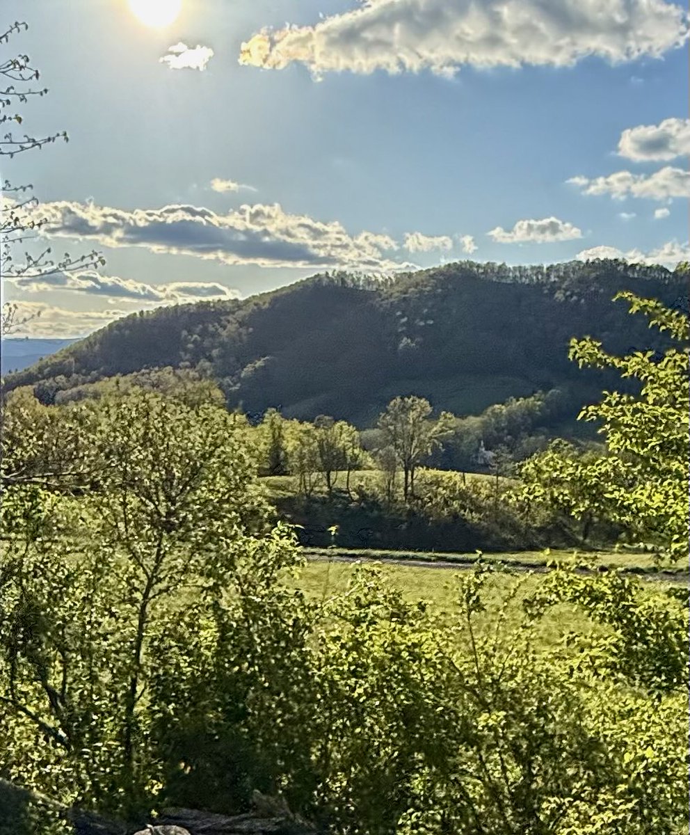 The Appalachian Podcast tweet media