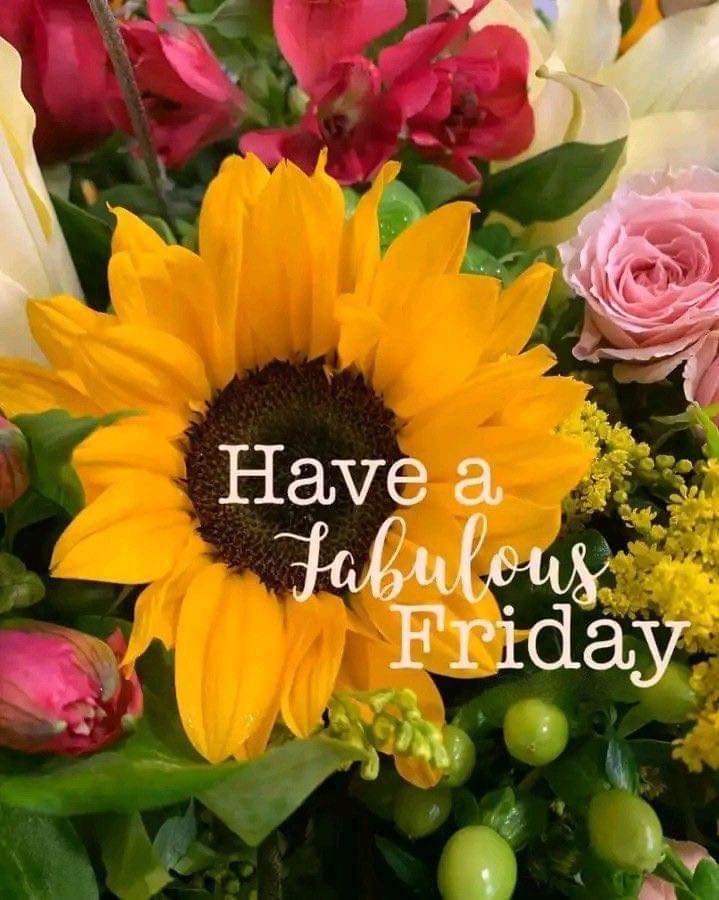 G12Rocco's tweet image. Good Friday Morning☀️😎🌻🌻🌻Hope You All Have a Fabulous Friday and a Wonderful Weekend🙏💛😊 #FridayMorning