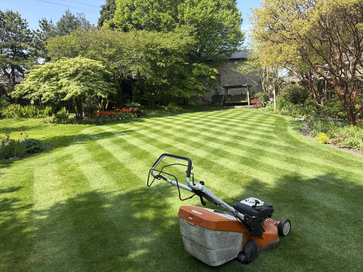 teazyweezy's tweet photo. Lawn porn….bosssshhhhh https://t.co/XLITjC6aaA