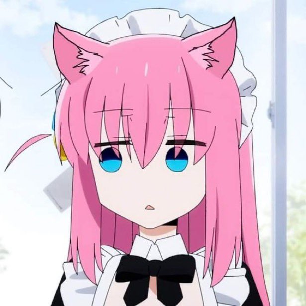 Bocchi Cat Daily tweet media