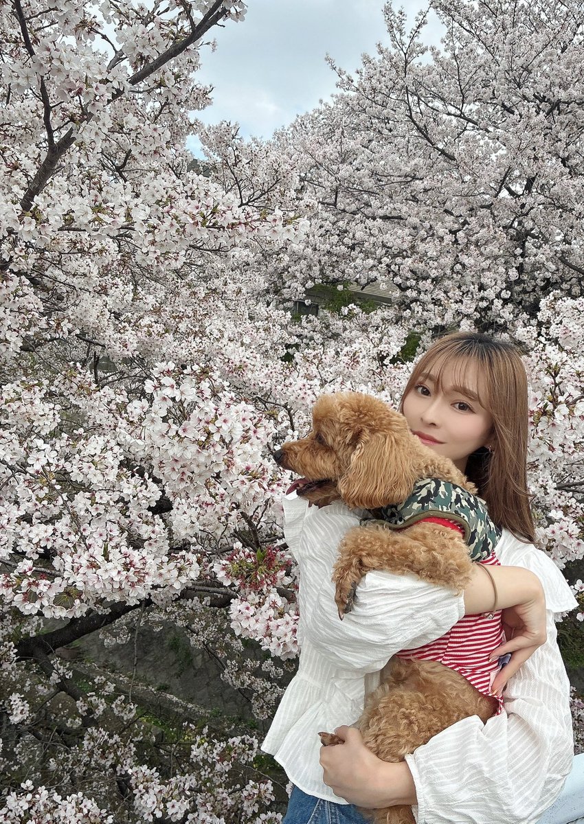 えりちょん えりちょんぴ🐈DMMぱちタウン (@DMM_erichonpi) / Posts and Replies / X