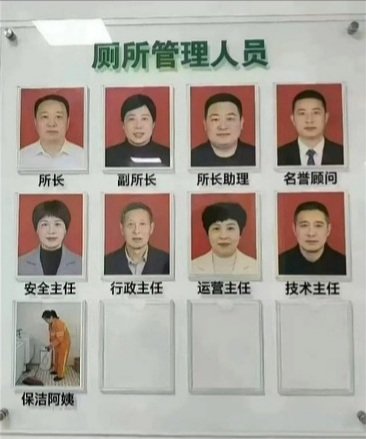 溜达妹儿 tweet media
