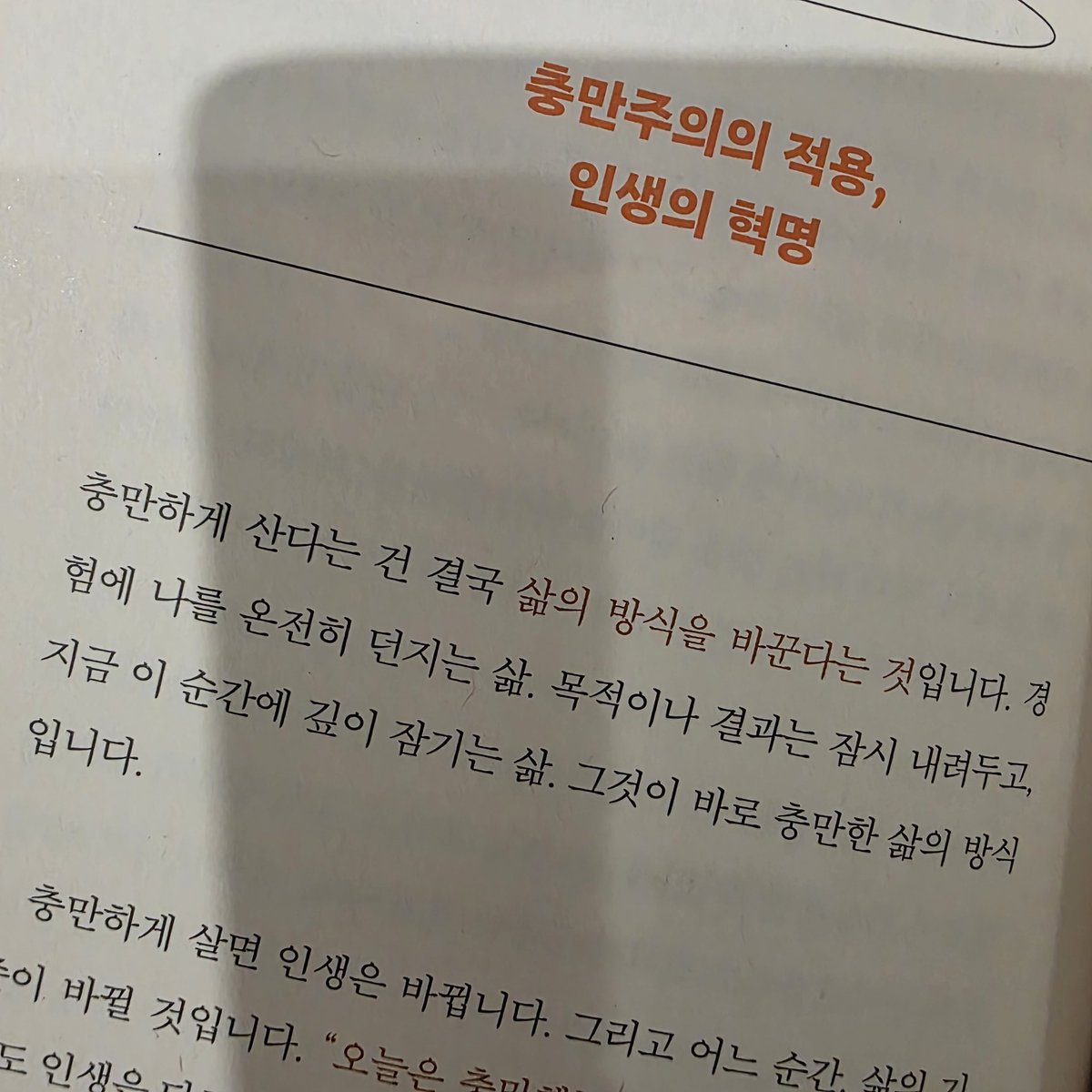 해달🦦 tweet media