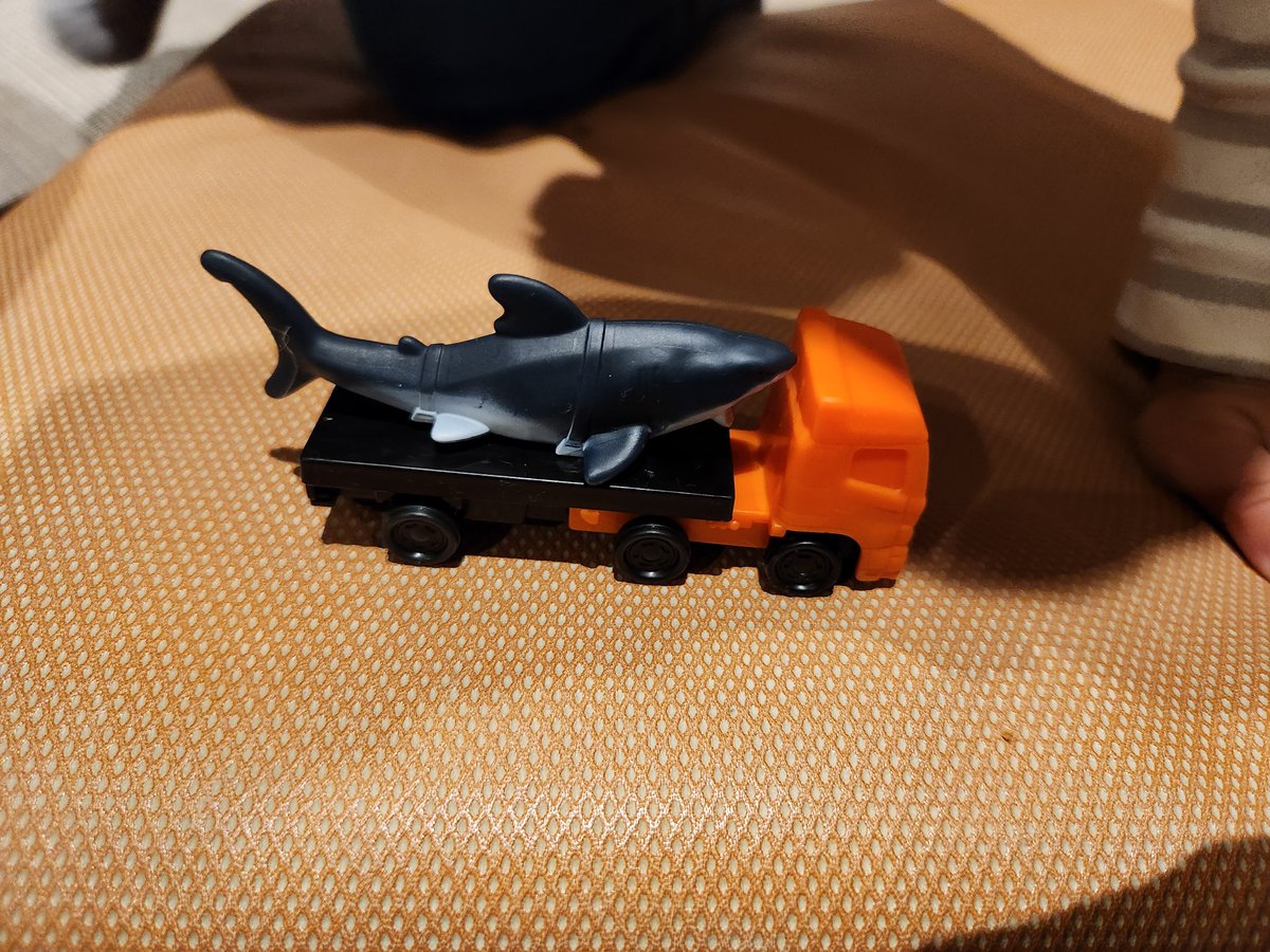 メガロドン搬送車きたぞ