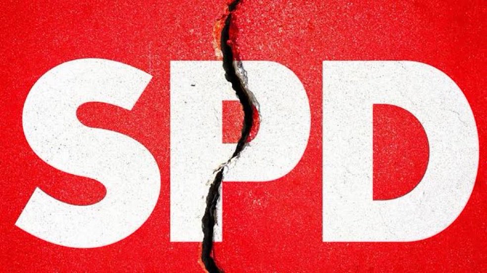 Dr.Speed tweet media