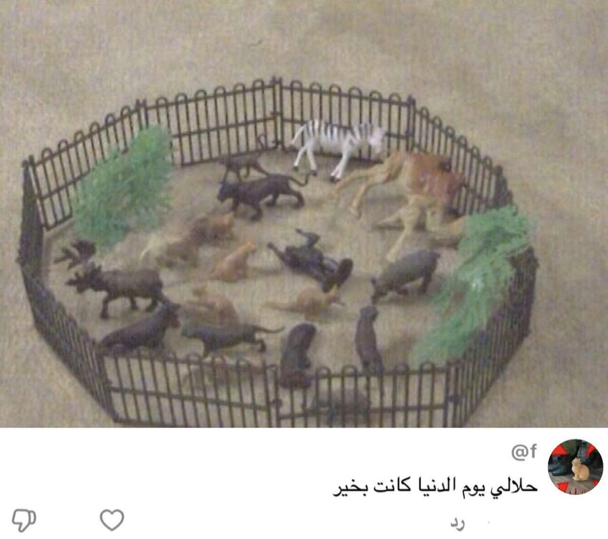 منصور tweet media
