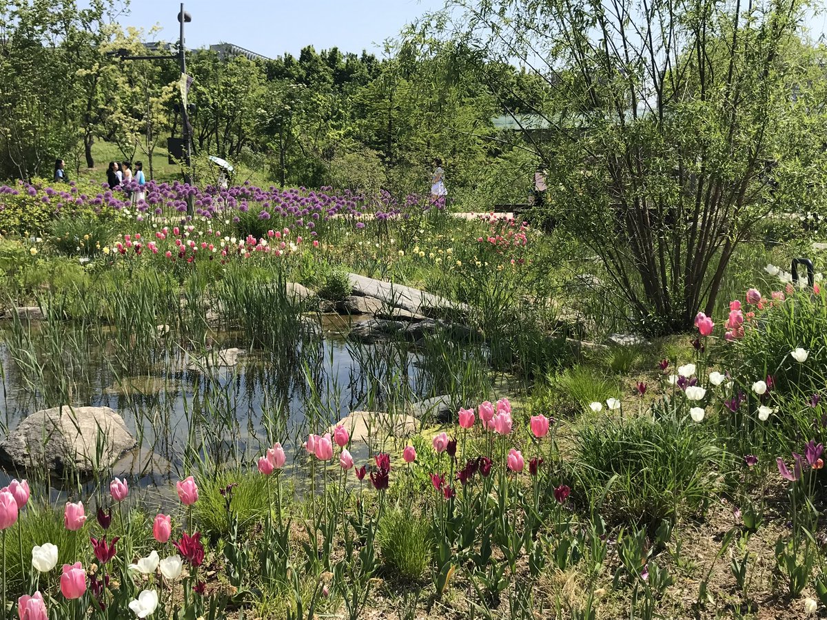 niiiniiever's tweet photo. 젭떤그룹덕분에 서울식물원막차🌷💞🪽0️⃣☝🏻 https://t.co/IR8jMdMxQk