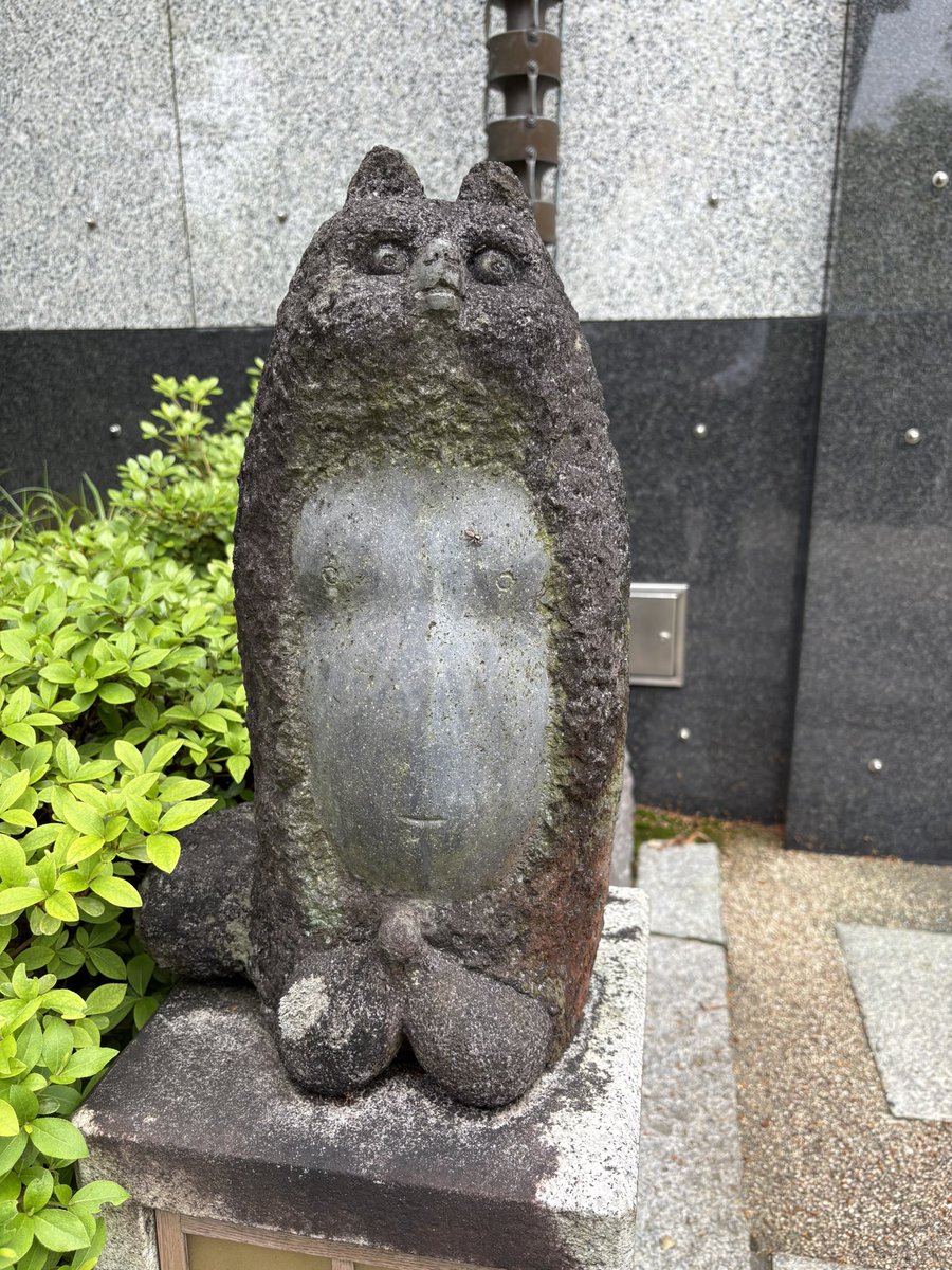 セーロソバ tweet media