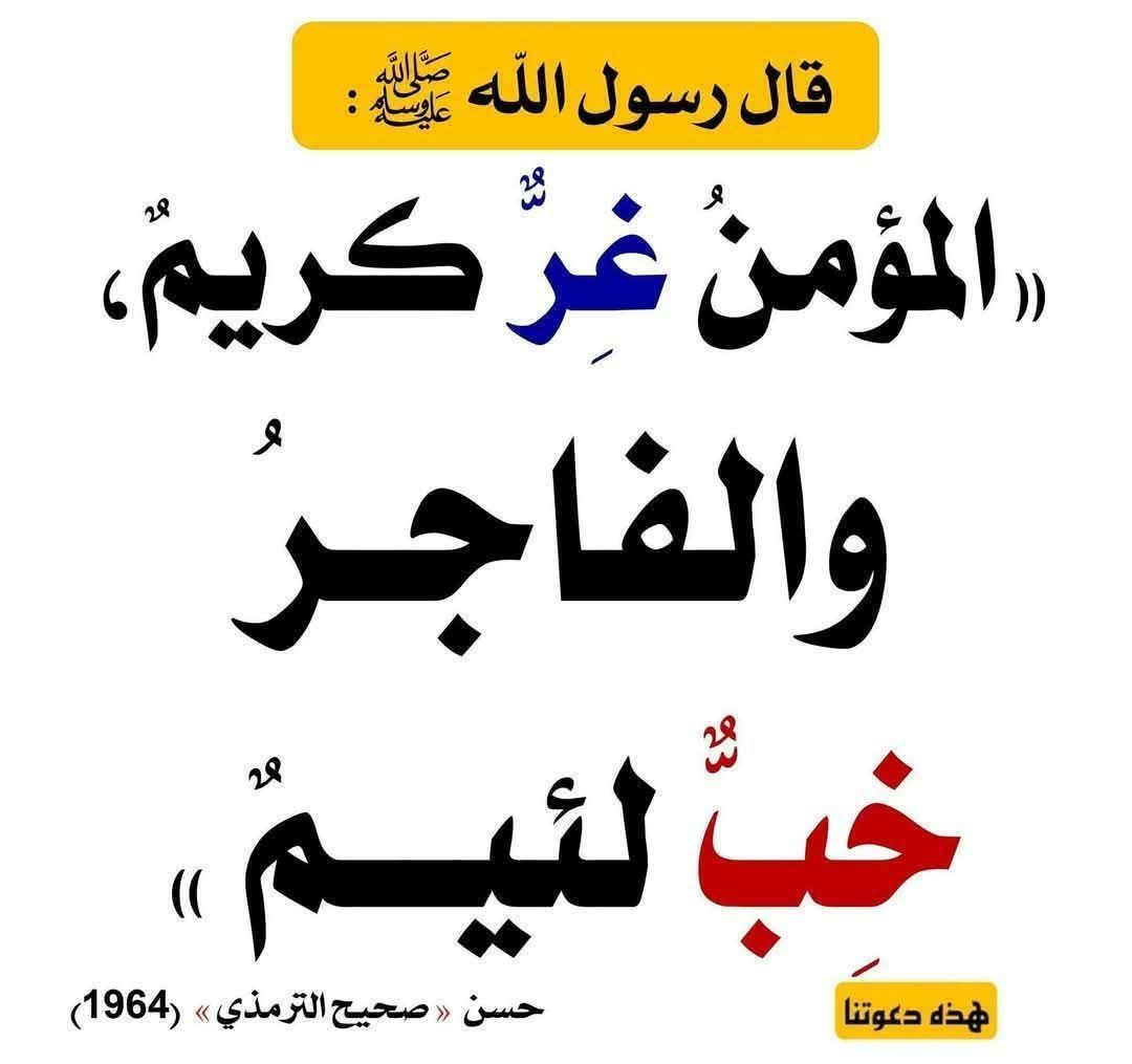 الكتابُ والسُّنة tweet media