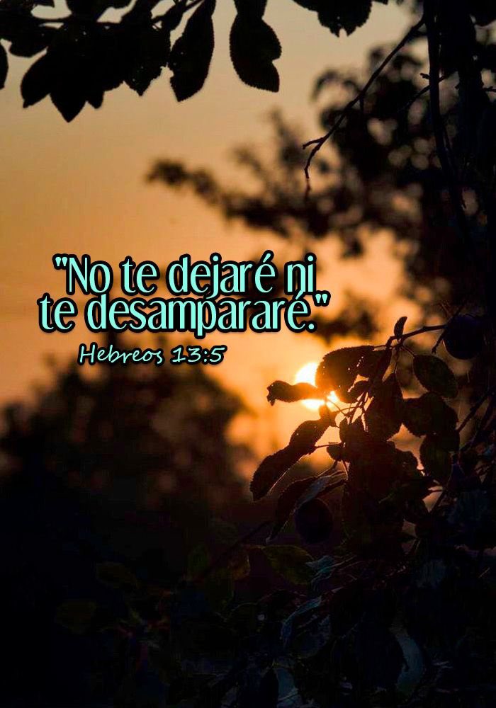 GaloLaraY's tweet image. #FelizViernes 
Por que su GRACIA NUNCA FALLA, caminamos con fe.
🙏🏆