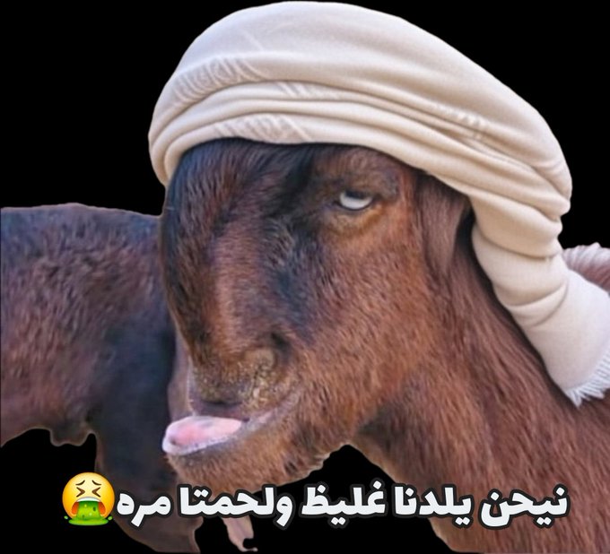 نــاصـرالظـاهــ‏ري tweet media
