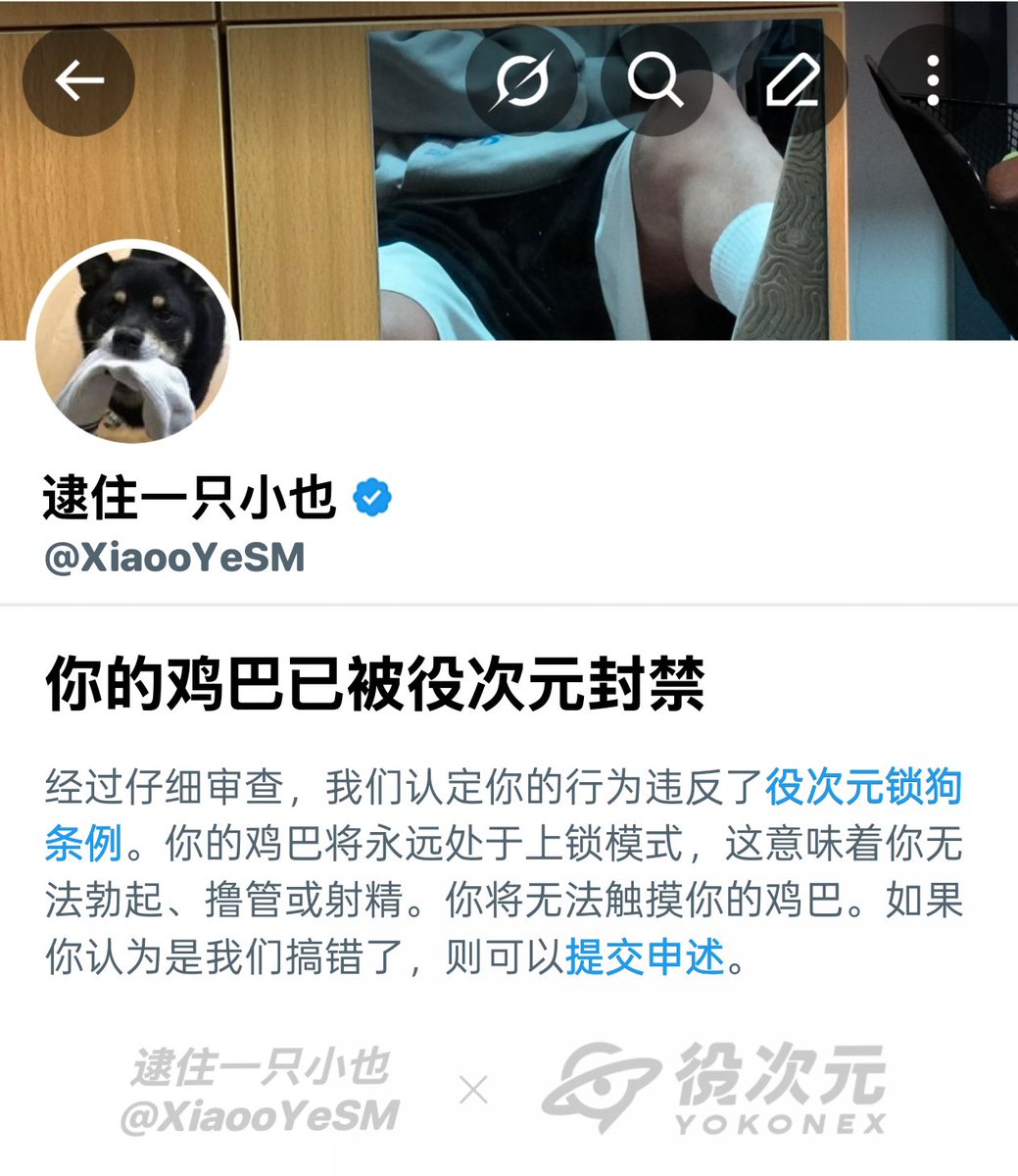 逮住一只小也 tweet media