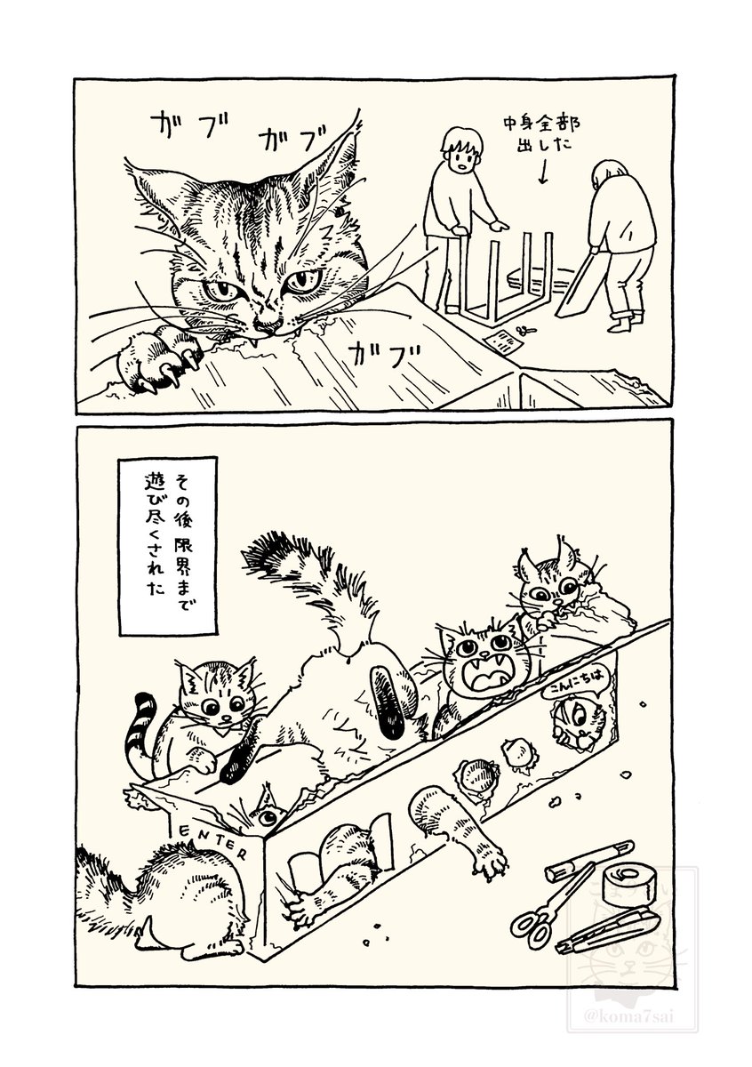 こま9さい tweet media