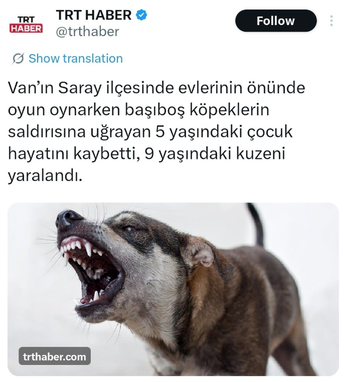 İTPEREST tweet media