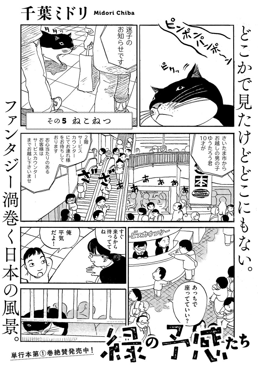 トーチweb tweet media