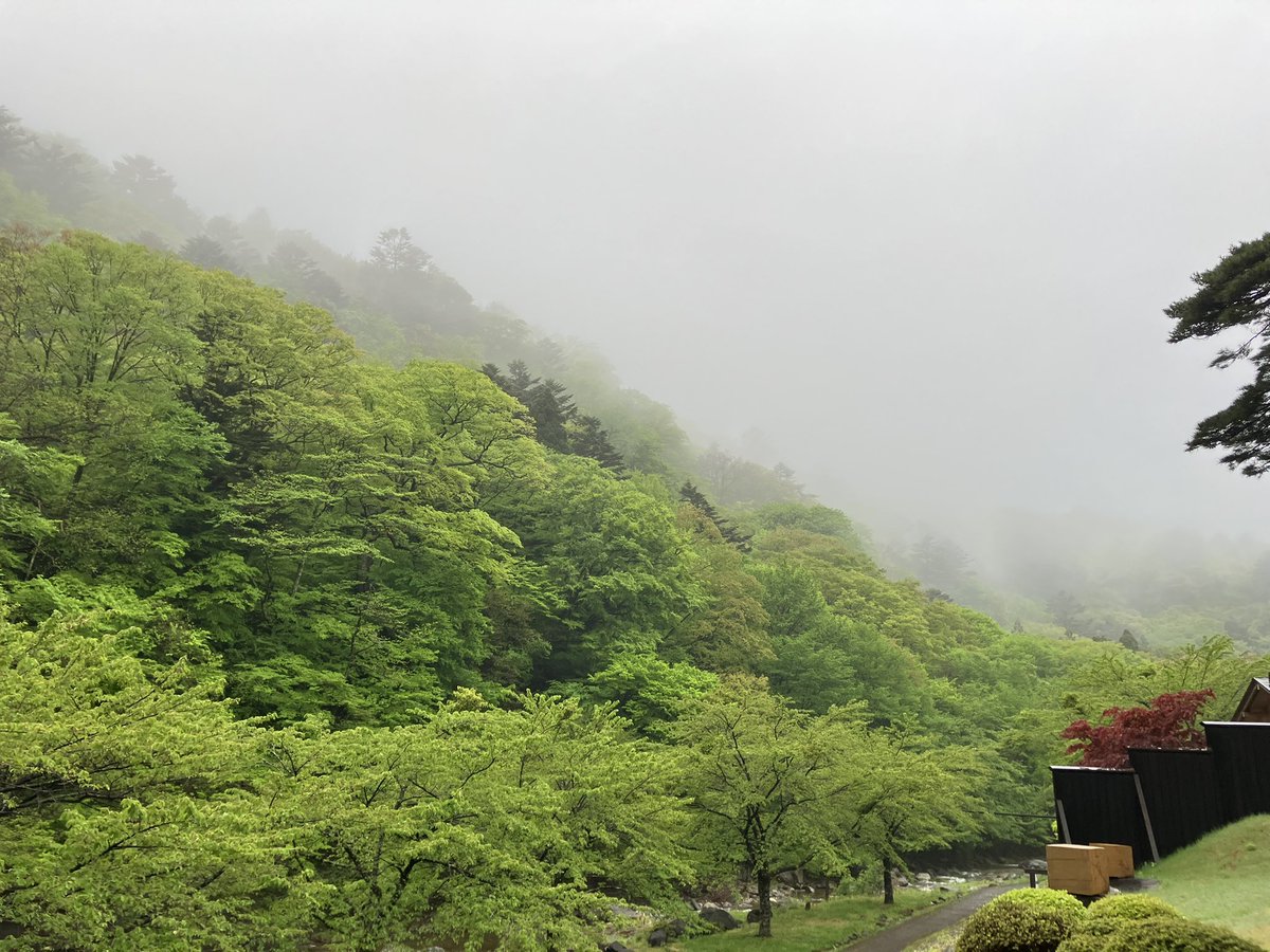 雲の中の板室大黒屋温泉。