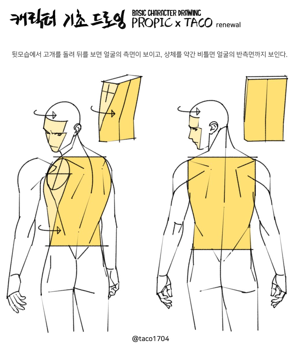 뒷모습에서 고개를 돌려 뒤를 보면 얼굴의 측면이 보이고, 상체를 약간 비틀면 얼굴의 반측면까지 보인다.