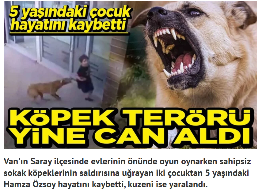 Medya Muhtarı 🇹🇷 tweet media