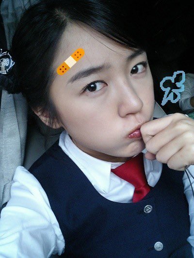 알프레드 tweet media