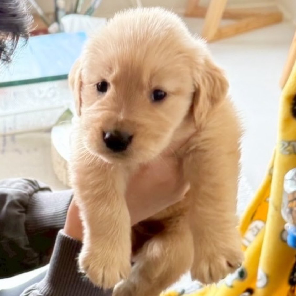 takemybear 🐶 tweet media