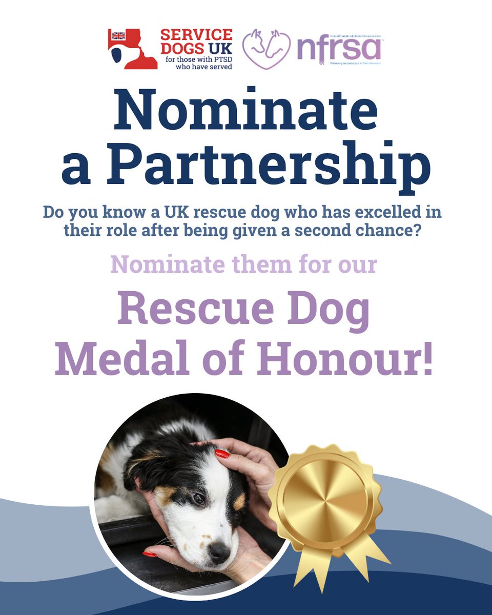 ServiceDogsUK tweet media