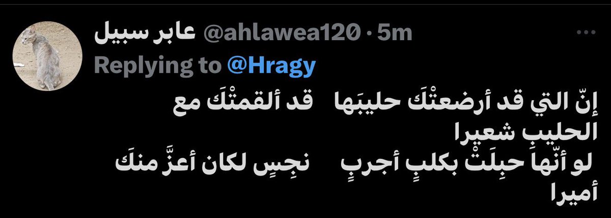 Hany Ragy tweet media