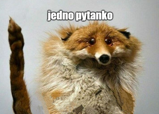 donald.pl tweet media