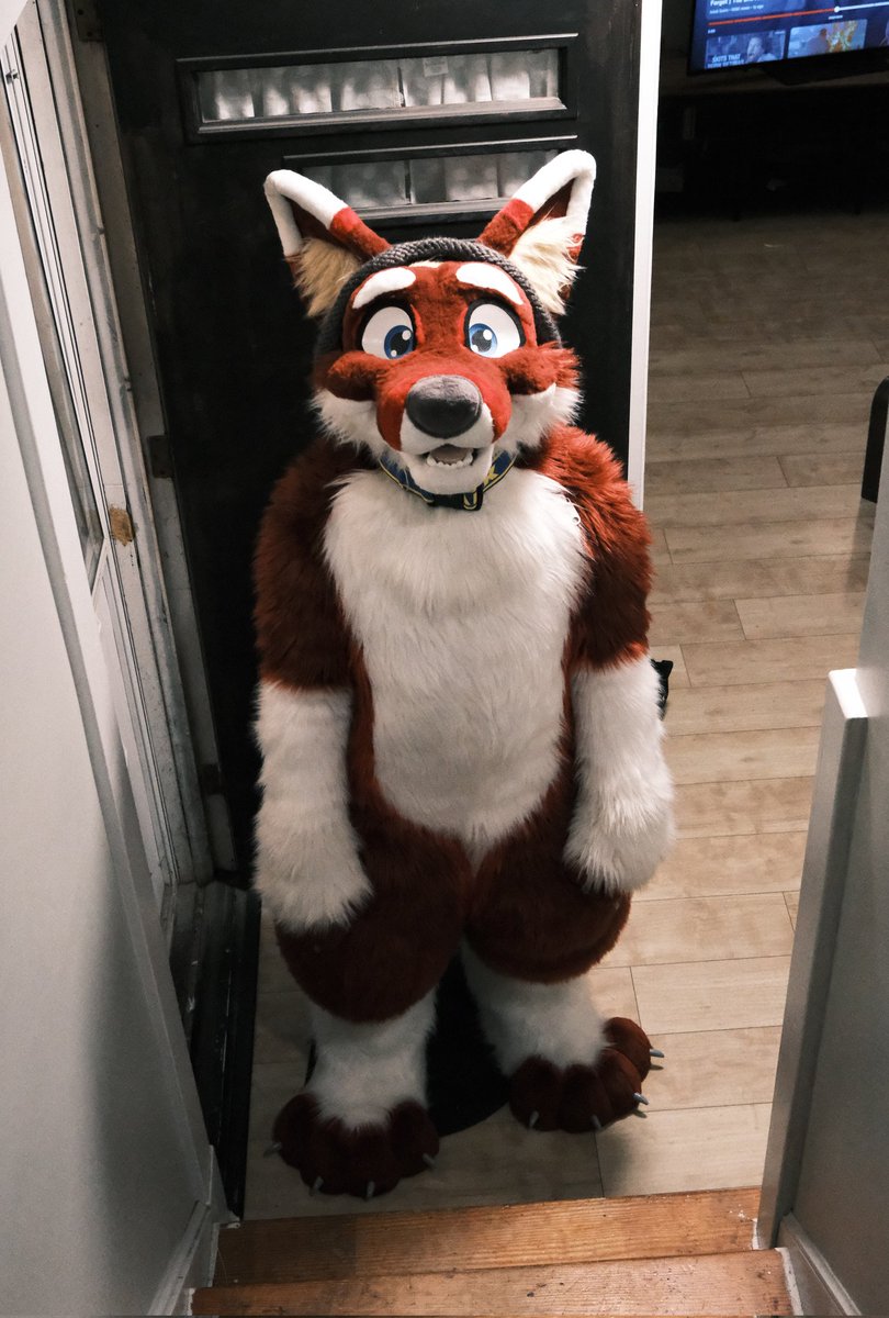 whatareweinfur's tweet photo. i ate all ur leftovers 
#furry #happyfursuitfriday #fursuitfriday #whatareweinfur https://t.co/oyzf8yN9ws